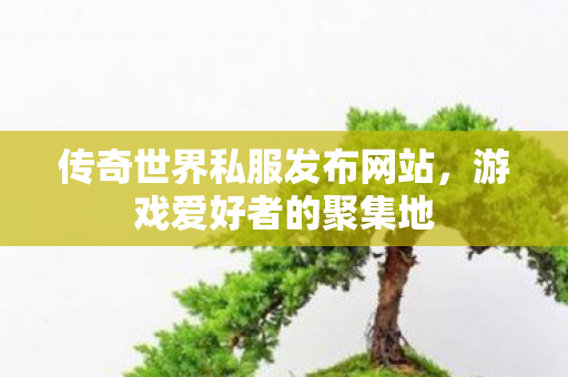传奇世界私服发布网站,游戏爱好者的聚集地 传奇世界私服发布网站,游戏爱好者的聚集地