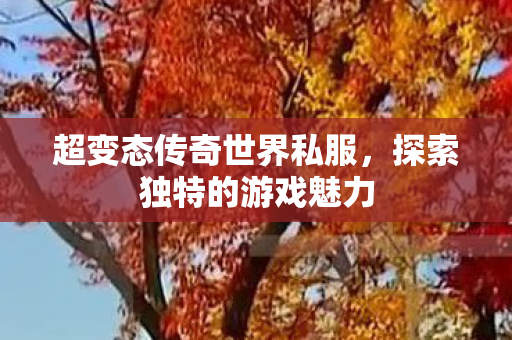超变态传奇世界私服,探索独特的游戏魅力 超变态传奇世界私服,探索独特的游戏魅力
