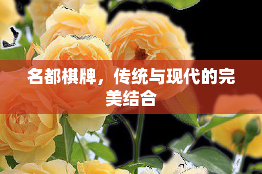 名都棋牌,传统与现代的完美结合 名都棋牌,传统与现代的完美结合
