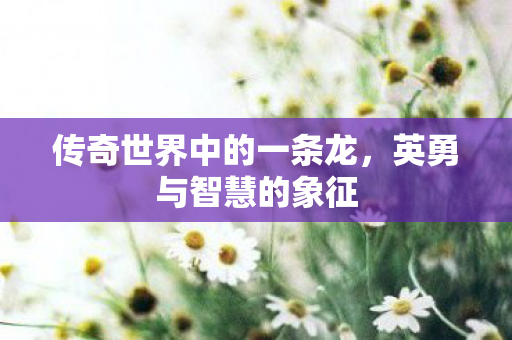 传奇世界中的一条龙,英勇与智慧的象征 传奇世界中的一条龙,英勇与智慧的象征