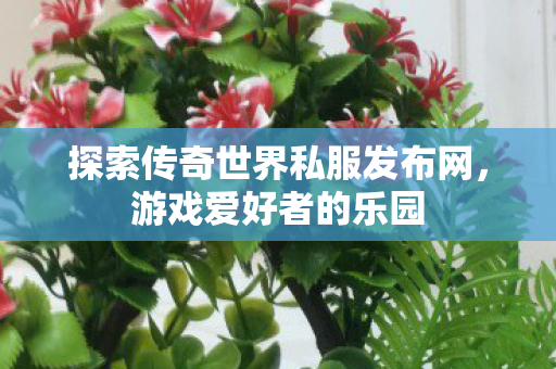 探索传奇世界私服发布网，游戏爱好者的乐园