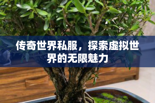 传奇世界私服,探索虚拟世界的无限魅力 传奇世界私服,探索虚拟世界的无限魅力