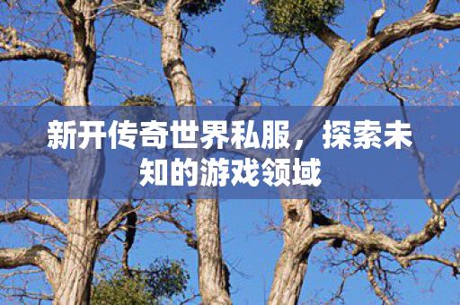 新开传奇世界私服,探索未知的游戏领域 新开传奇世界私服,探索未知的游戏领域