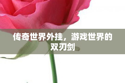 传奇世界外挂,游戏世界的双刃剑 传奇世界外挂,游戏世界的双刃剑