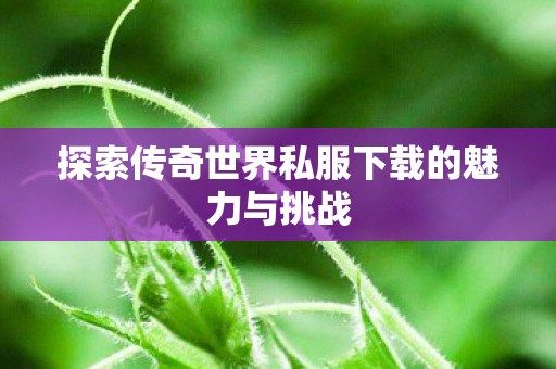 探索传奇世界私服下载的魅力与挑战