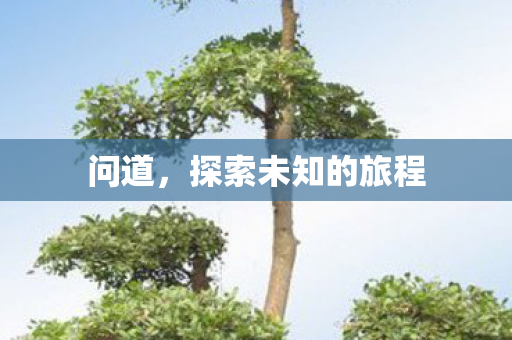 问道，探索未知的旅程