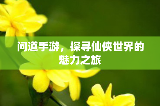 问道手游,探寻仙侠世界的魅力之旅 问道手游,探寻仙侠世界的魅力之旅