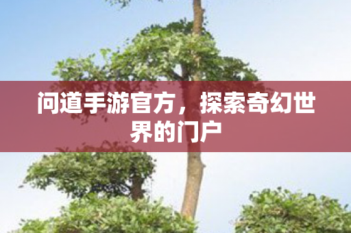 问道手游官方,探索奇幻世界的门户 问道手游官方,探索奇幻世界的门户
