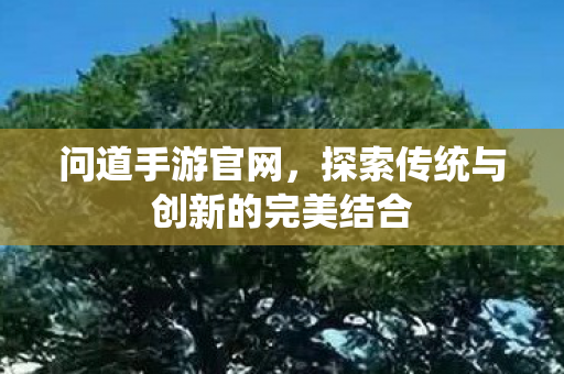 问道手游官网，探索传统与创新的完美结合