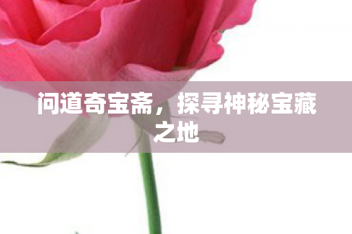 问道奇宝斋，探寻神秘宝藏之地