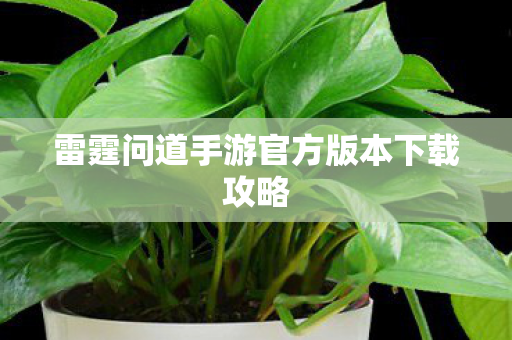 雷霆问道手游官方版本下载攻略 雷霆问道手游官方版本下载攻略