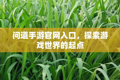 问道手游官网入口,探索游戏世界的起点 问道手游官网入口,探索游戏世界的起点