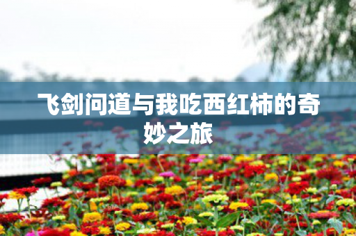 飞剑问道与我吃西红柿的奇妙之旅