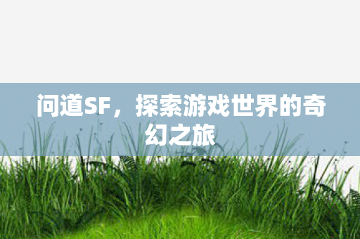 问道SF,探索游戏世界的奇幻之旅 问道SF,探索游戏世界的奇幻之旅