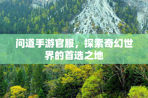 问道手游官服,探索奇幻世界的首选之地 问道手游官服,探索奇幻世界的首选之地