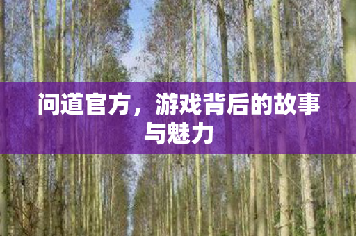 问道官方,游戏背后的故事与魅力 问道官方,游戏背后的故事与魅力