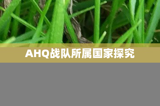 AHQ战队所属国家探究 AHQ战队所属国家探究