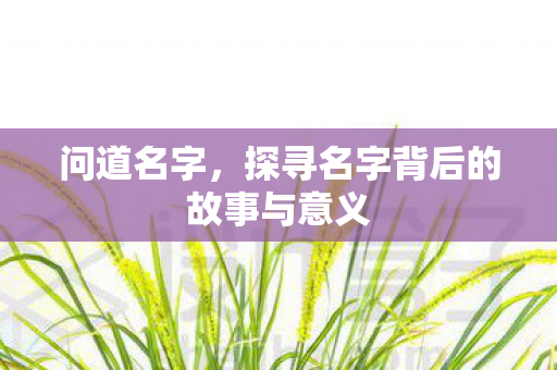 问道名字,探寻名字背后的故事与意义 问道名字,探寻名字背后的故事与意义