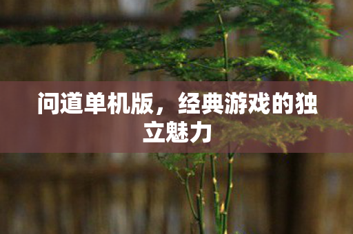 问道单机版,经典游戏的独立魅力 问道单机版,经典游戏的独立魅力