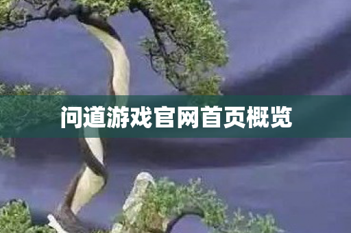 问道游戏官网首页概览 问道游戏官网首页概览