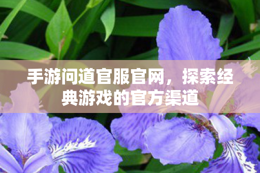 手游问道官服官网,探索经典游戏的官方渠道 手游问道官服官网,探索经典游戏的官方渠道