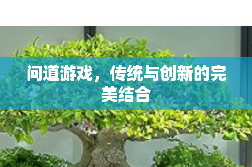 问道游戏,传统与创新的完美结合 问道游戏,传统与创新的完美结合