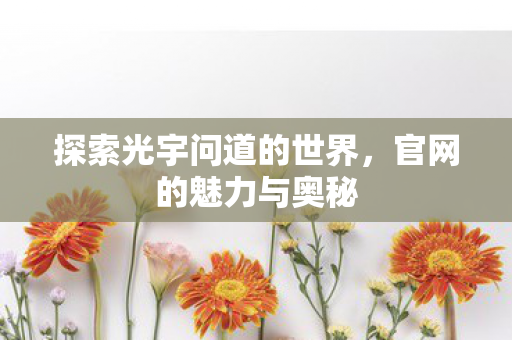 探索光宇问道的世界,官网的魅力与奥秘 探索光宇问道的世界,官网的魅力与奥秘