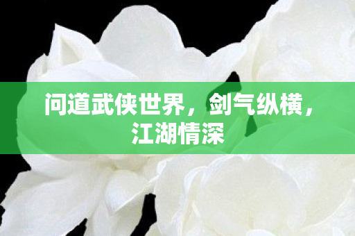 问道武侠世界,剑气纵横,江湖情深 问道武侠世界,剑气纵横,江湖情深