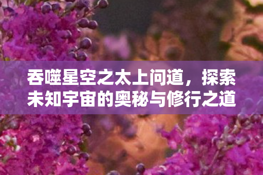 吞噬星空之太上问道,探索未知宇宙的奥秘与修行之道 吞噬星空之太上问道,探索未知宇宙的奥秘与修行之道