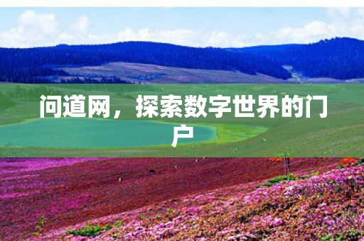 问道网，探索数字世界的门户
