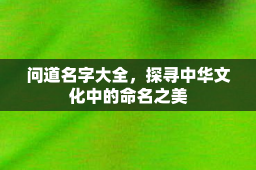 问道名字大全,探寻中华文化中的命名之美 问道名字大全,探寻中华文化中的命名之美