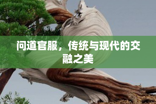 问道官服,传统与现代的交融之美 问道官服,传统与现代的交融之美