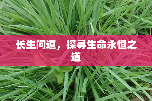 长生问道,探寻生命永恒之道 长生问道,探寻生命永恒之道