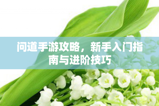问道手游攻略,新手入门指南与进阶技巧 问道手游攻略,新手入门指南与进阶技巧