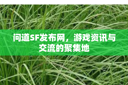 问道SF发布网,游戏资讯与交流的聚集地 问道SF发布网,游戏资讯与交流的聚集地