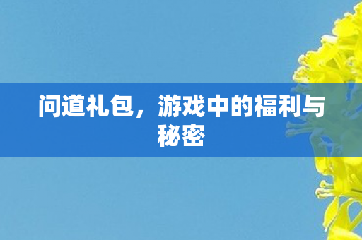 问道礼包,游戏中的福利与秘密 问道礼包,游戏中的福利与秘密