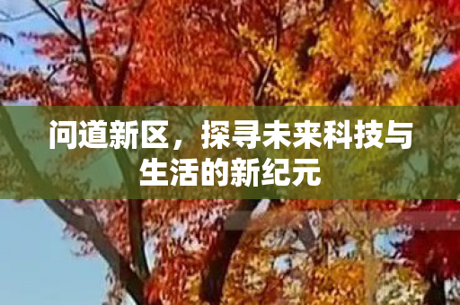 问道新区,探寻未来科技与生活的新纪元 问道新区,探寻未来科技与生活的新纪元
