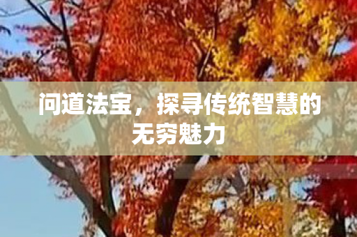 问道法宝，探寻传统智慧的无穷魅力