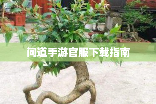 问道手游官服下载指南