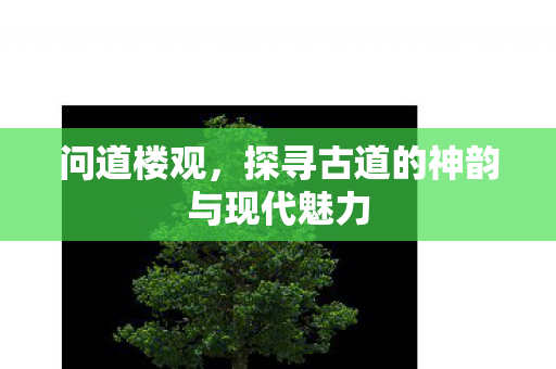 问道楼观,探寻古道的神韵与现代魅力 问道楼观,探寻古道的神韵与现代魅力