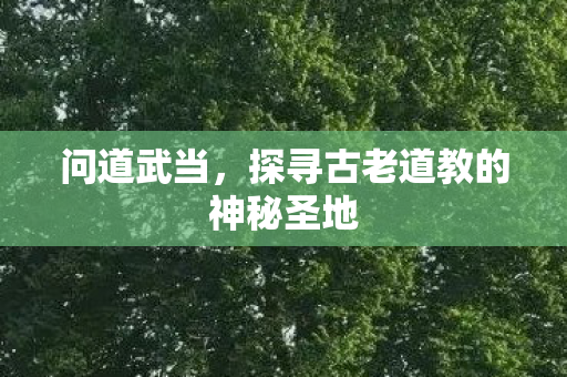 问道武当,探寻古老道教的神秘圣地 问道武当,探寻古老道教的神秘圣地