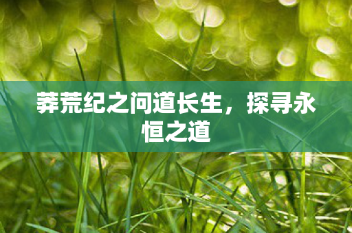 莽荒纪之问道长生,探寻永恒之道 莽荒纪之问道长生,探寻永恒之道
