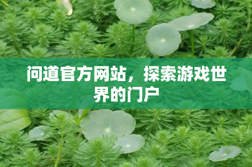 问道官方网站,探索游戏世界的门户 问道官方网站,探索游戏世界的门户