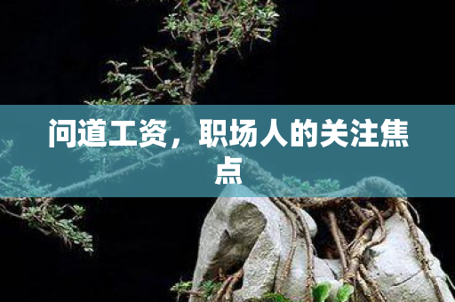 问道工资,职场人的关注焦点 问道工资,职场人的关注焦点
