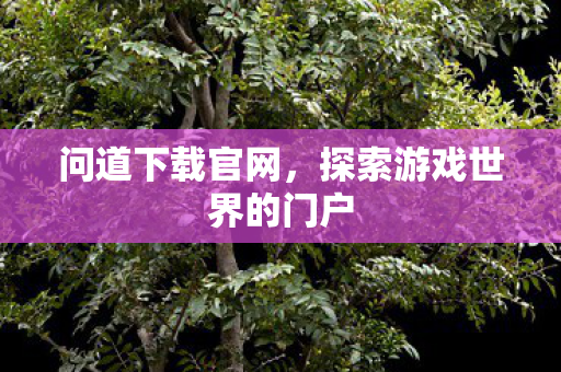 问道下载官网，探索游戏世界的门户