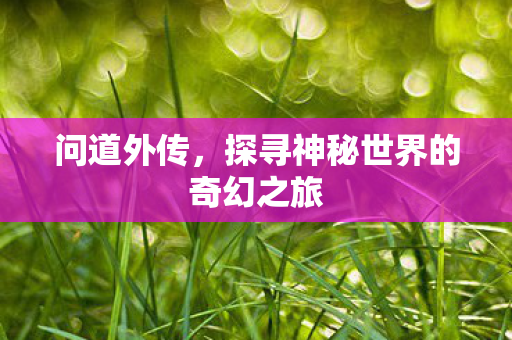 问道外传,探寻神秘世界的奇幻之旅 问道外传,探寻神秘世界的奇幻之旅