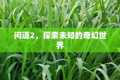 问道2,探索未知的奇幻世界 问道2,探索未知的奇幻世界