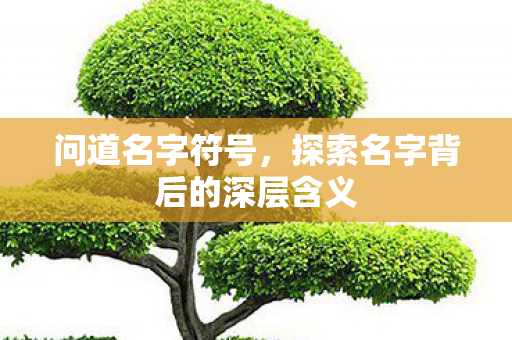 问道名字符号,探索名字背后的深层含义 问道名字符号,探索名字背后的深层含义