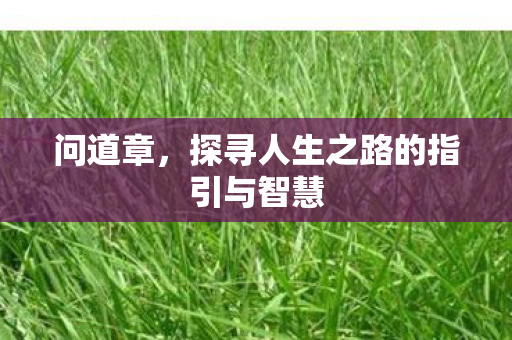 问道章,探寻人生之路的指引与智慧 问道章,探寻人生之路的指引与智慧