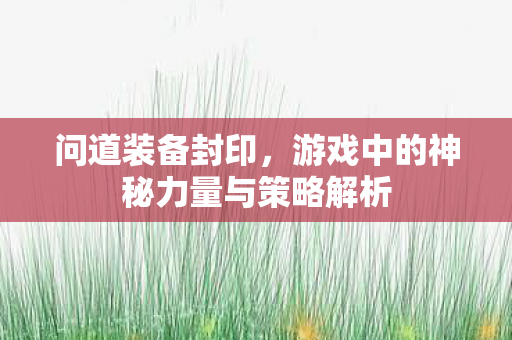问道装备封印，游戏中的神秘力量与策略解析